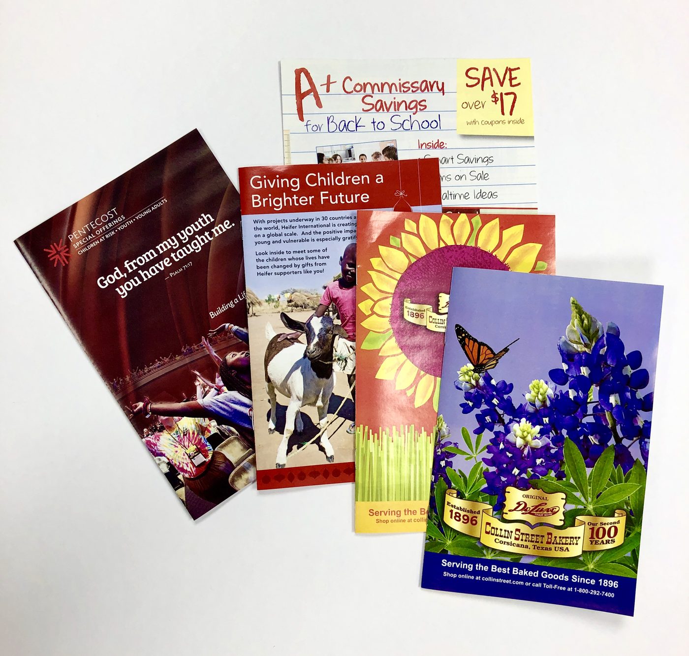 Printed catalogs and fundraising appeals fanned out, with a back-to-school savings flyer